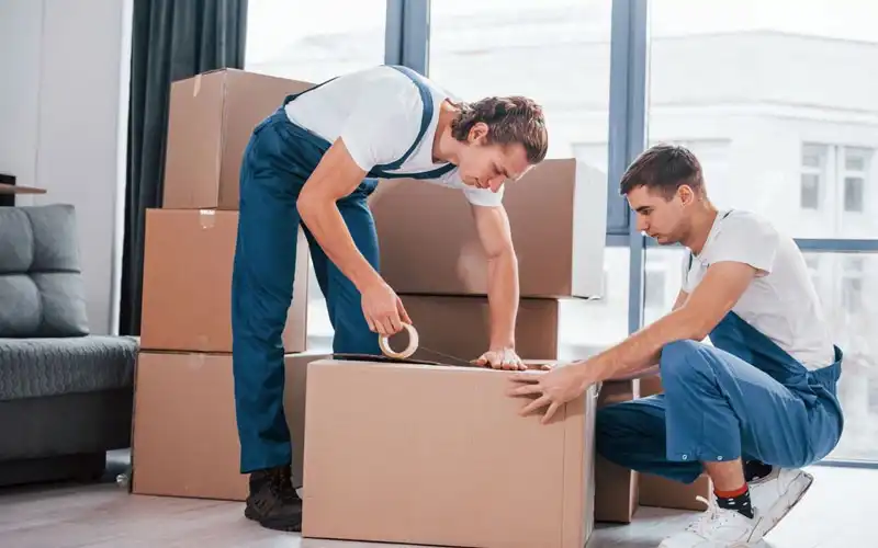 Best Packers And Movers Services Provider In Valsad
